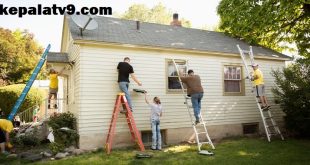 Beginner's Guide to Home Improvement