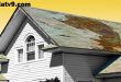 Renew Your Roof